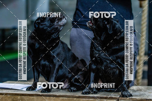 Buy your photos of the eventSaurus - Wknd Experience on Fotop