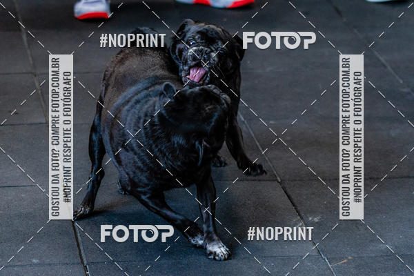 Buy your photos of the eventSaurus - Wknd Experience on Fotop