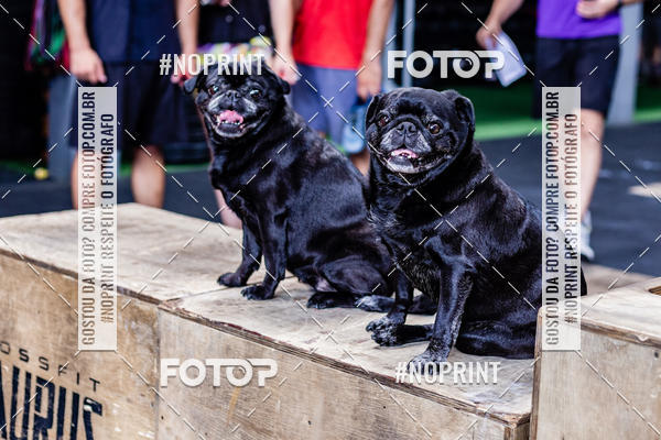 Buy your photos of the eventSaurus - Wknd Experience on Fotop