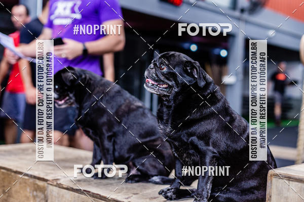 Buy your photos of the eventSaurus - Wknd Experience on Fotop