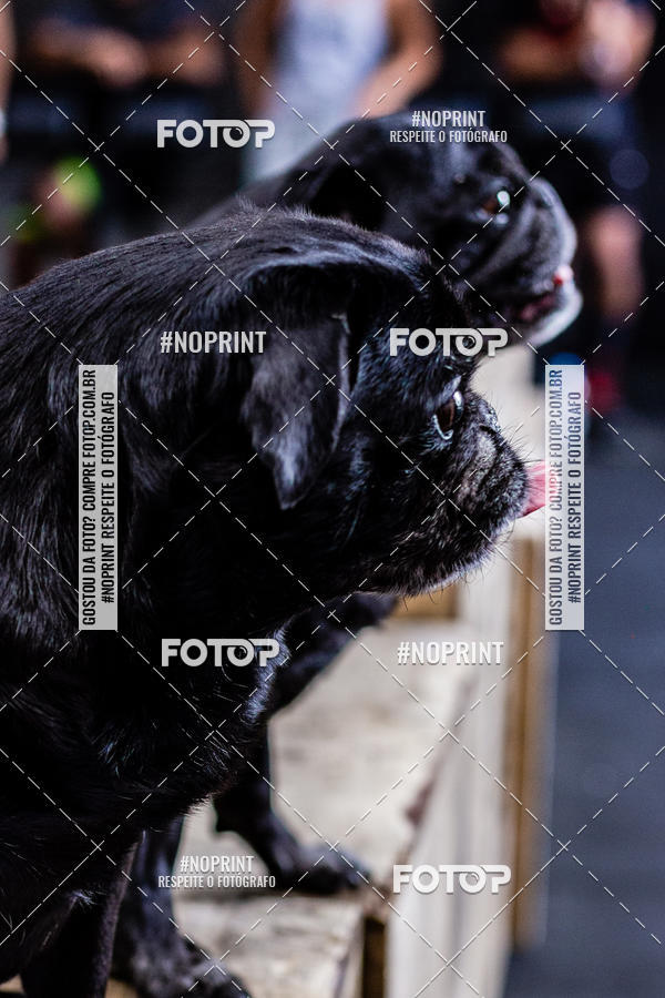 Buy your photos of the eventSaurus - Wknd Experience on Fotop