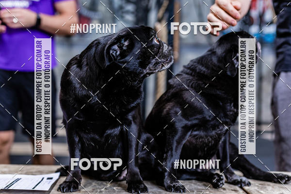 Buy your photos of the eventSaurus - Wknd Experience on Fotop