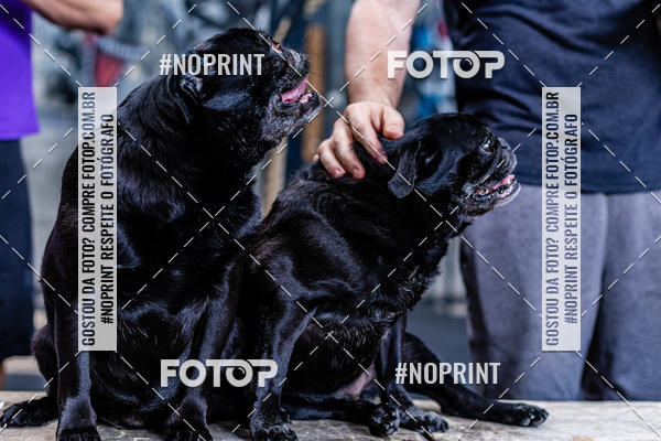 Buy your photos of the eventSaurus - Wknd Experience on Fotop