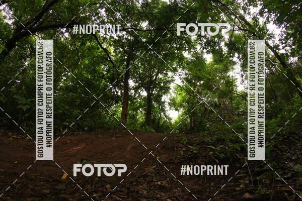 Buy your photos of the event1 ETAPA TAA SO PAULO DE MOUNTAIN BIKE XCO on Fotop