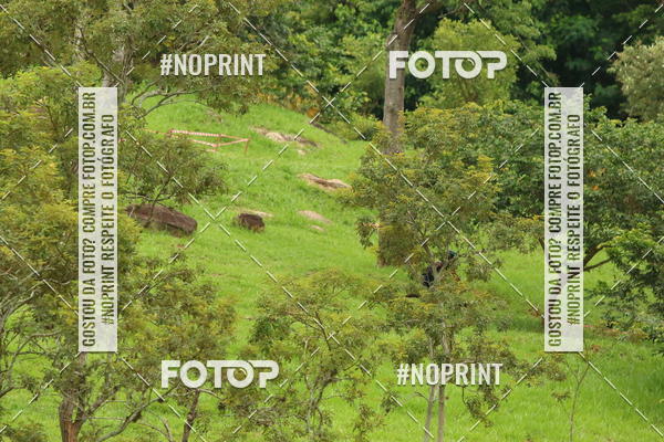 Buy your photos of the event1 ETAPA TAA SO PAULO DE MOUNTAIN BIKE XCO on Fotop