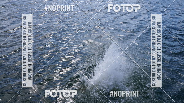 Buy your photos of the eventSRB- Circuito Swimrun Brasil - 2 Etapa Paraty on Fotop