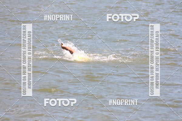 Buy your photos of the eventSRB- Circuito Swimrun Brasil - 2 Etapa Paraty on Fotop