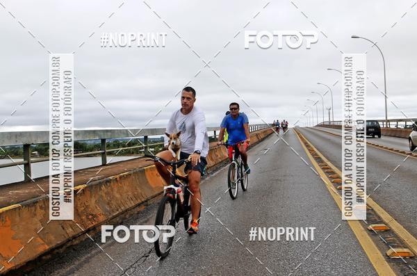 Acquista le foto dell'eventoMeia Maratona das Pontes 2019 in Fotop