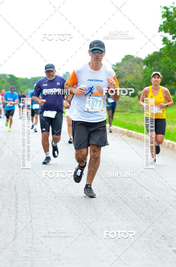 Buy your photos of the eventMeia Maratona das Pontes 2019 on Fotop