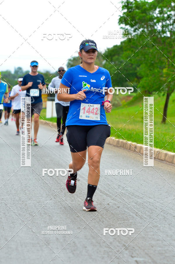 Buy your photos of the eventMeia Maratona das Pontes 2019 on Fotop