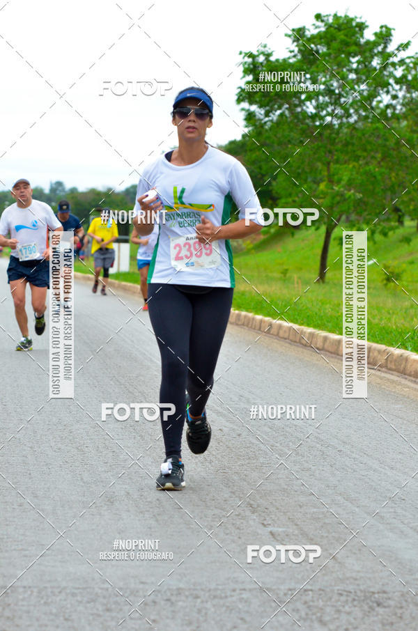 Buy your photos of the eventMeia Maratona das Pontes 2019 on Fotop