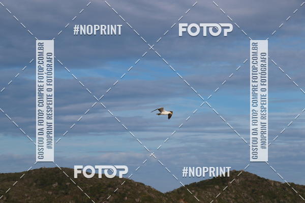 Buy your photos of the eventXTERRA BZIOS 2019 on Fotop