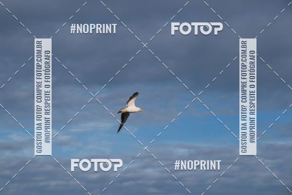 Buy your photos of the eventXTERRA BZIOS 2019 on Fotop