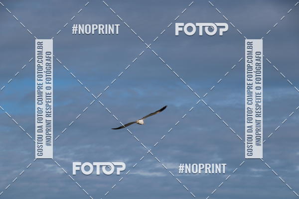 Buy your photos of the eventXTERRA BZIOS 2019 on Fotop
