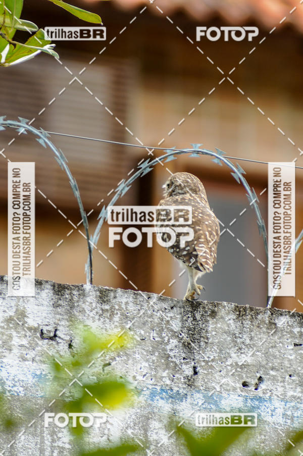 Buy your photos of the eventDesafio Vale Europeu das Estaes - Etapa Vero on Fotop
