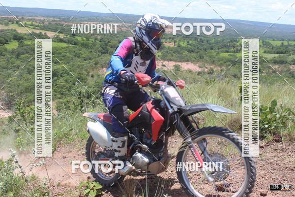 Buy your photos of the event2 Trilho dos Amigos Lagoa Grande on Fotop
