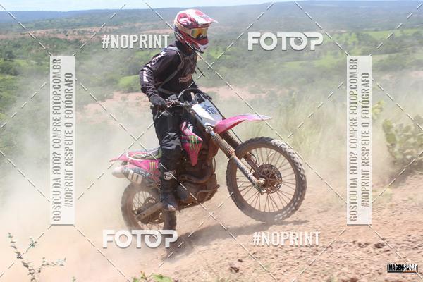 Buy your photos of the event2 Trilho dos Amigos Lagoa Grande on Fotop