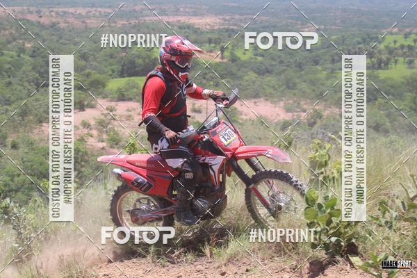 Buy your photos of the event2 Trilho dos Amigos Lagoa Grande on Fotop