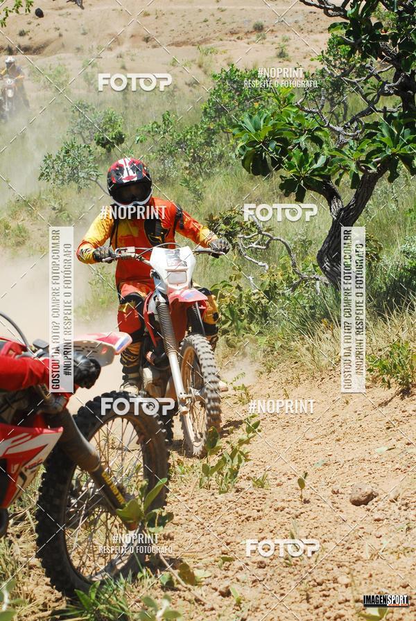 Buy your photos of the event2 Trilho dos Amigos Lagoa Grande on Fotop