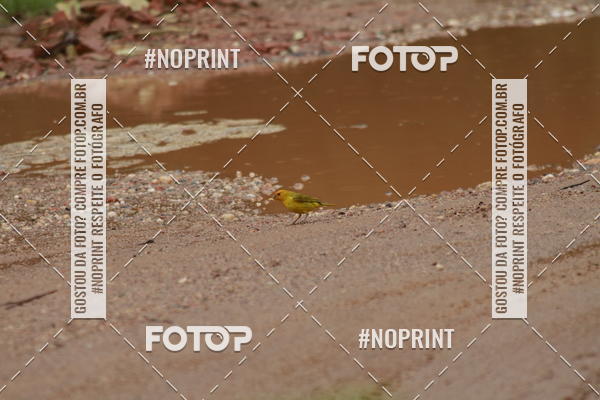 Compre suas fotos do eventoCopa vertentes de mountain bike no Fotop