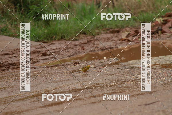 Compre suas fotos do eventoCopa vertentes de mountain bike no Fotop