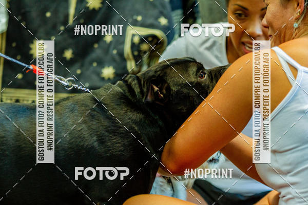 Buy your photos of the eventDog Wod - Crossfit Saurus on Fotop