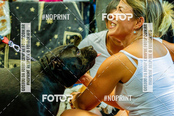 Buy your photos of the eventDog Wod - Crossfit Saurus on Fotop