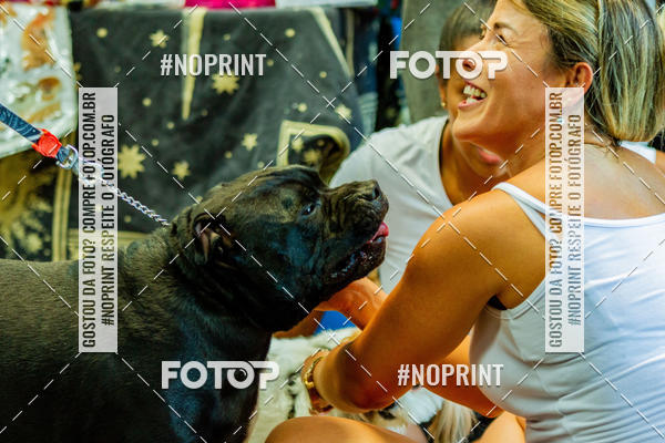 Buy your photos of the eventDog Wod - Crossfit Saurus on Fotop