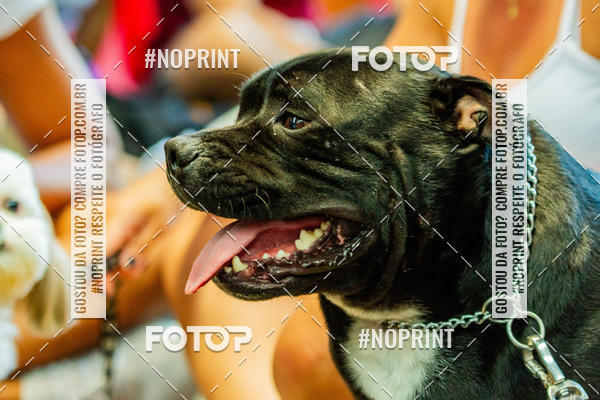 Buy your photos of the eventDog Wod - Crossfit Saurus on Fotop