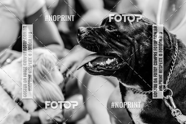 Buy your photos of the eventDog Wod - Crossfit Saurus on Fotop