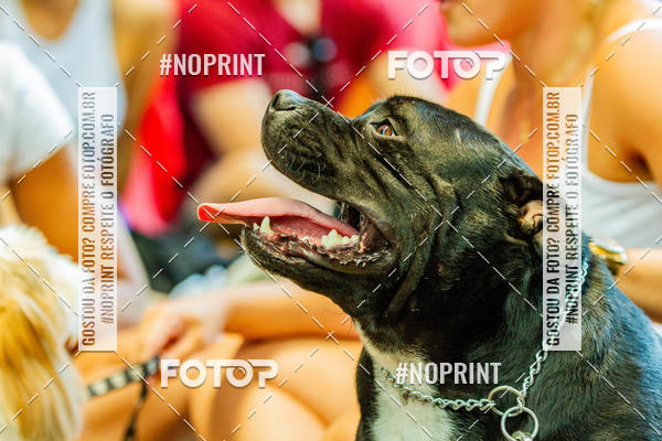 Buy your photos of the eventDog Wod - Crossfit Saurus on Fotop