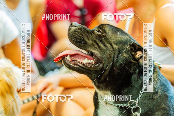 Buy your photos of the eventDog Wod - Crossfit Saurus on Fotop