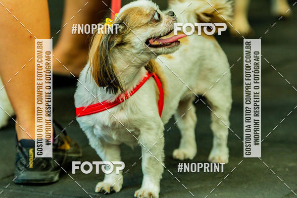 Buy your photos of the eventDog Wod - Crossfit Saurus on Fotop