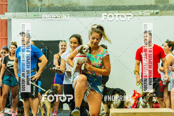 Buy your photos of the eventDog Wod - Crossfit Saurus on Fotop