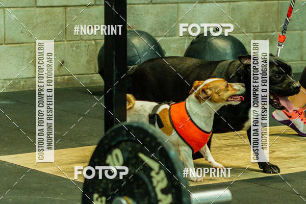 Buy your photos of the eventDog Wod - Crossfit Saurus on Fotop