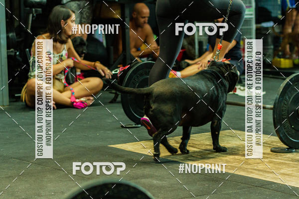 Buy your photos of the eventDog Wod - Crossfit Saurus on Fotop