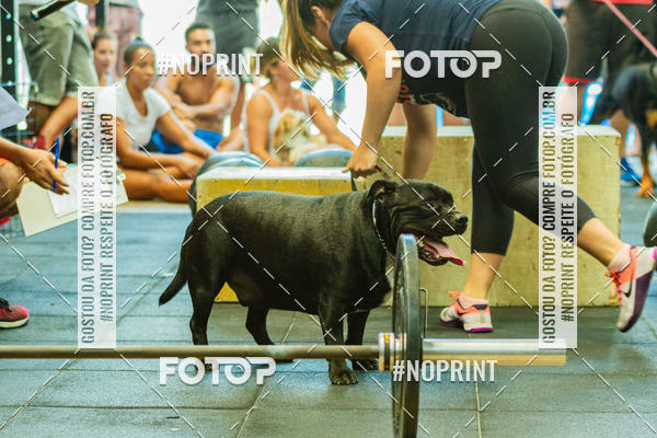 Buy your photos of the eventDog Wod - Crossfit Saurus on Fotop