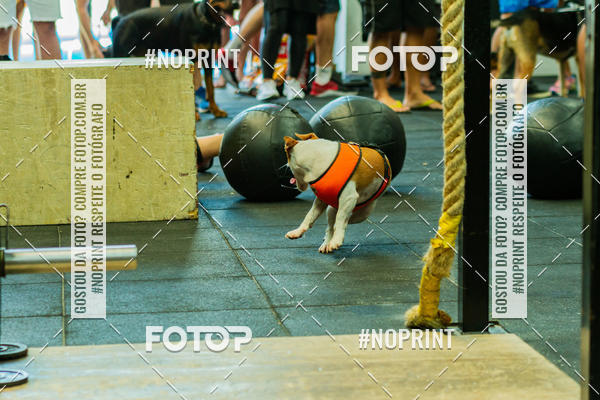 Buy your photos of the eventDog Wod - Crossfit Saurus on Fotop
