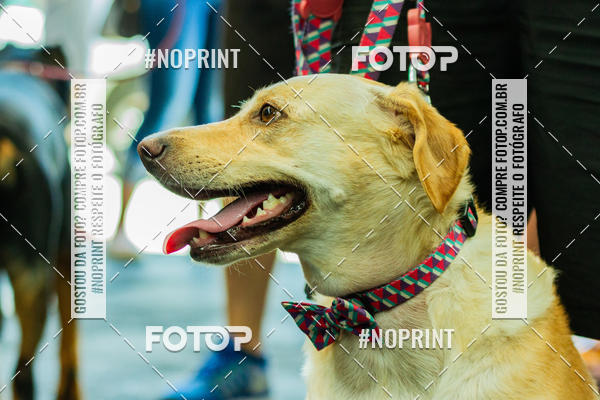 Buy your photos of the eventDog Wod - Crossfit Saurus on Fotop