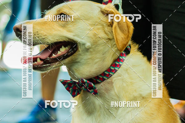 Buy your photos of the eventDog Wod - Crossfit Saurus on Fotop