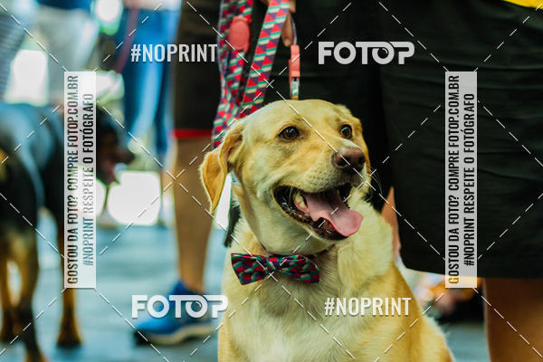 Buy your photos of the eventDog Wod - Crossfit Saurus on Fotop