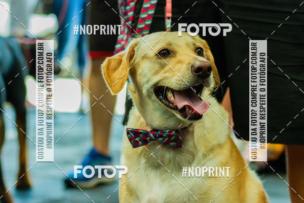 Buy your photos of the eventDog Wod - Crossfit Saurus on Fotop