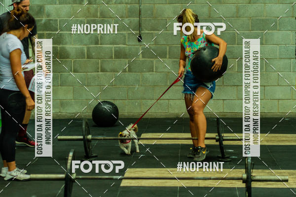 Buy your photos of the eventDog Wod - Crossfit Saurus on Fotop