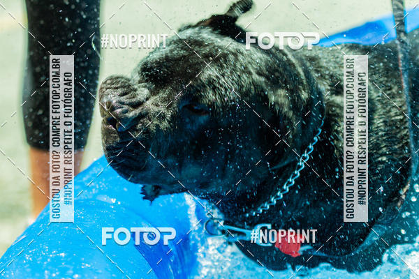 Buy your photos of the eventDog Wod - Crossfit Saurus on Fotop