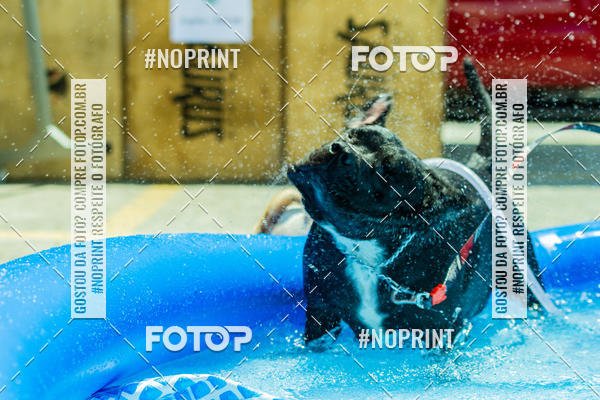 Buy your photos of the eventDog Wod - Crossfit Saurus on Fotop