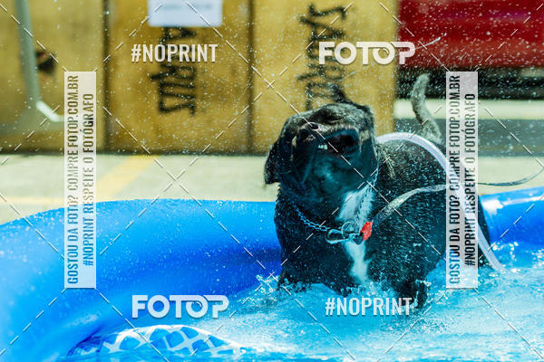 Buy your photos of the eventDog Wod - Crossfit Saurus on Fotop