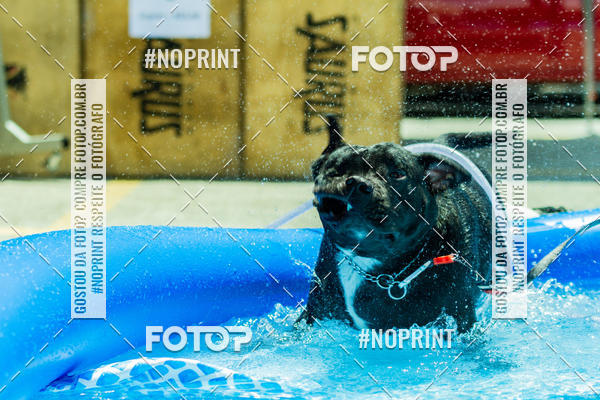 Buy your photos of the eventDog Wod - Crossfit Saurus on Fotop