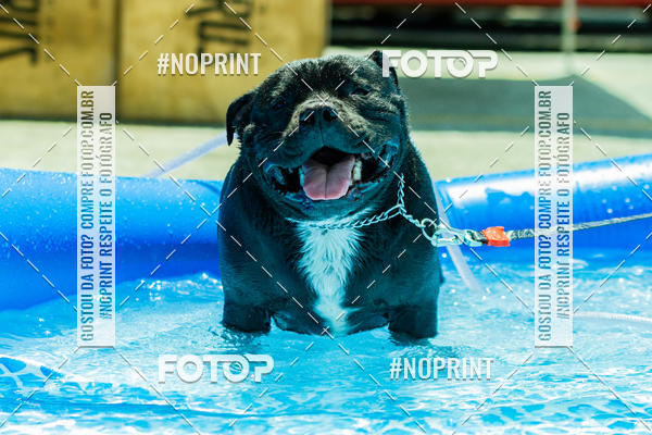 Buy your photos of the eventDog Wod - Crossfit Saurus on Fotop