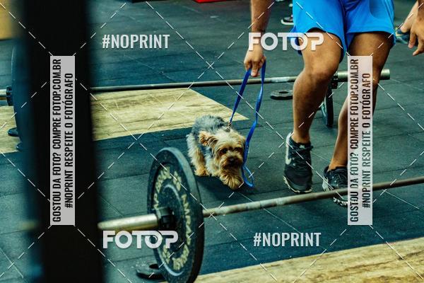 Buy your photos of the eventDog Wod - Crossfit Saurus on Fotop