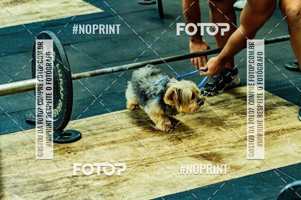 Buy your photos of the eventDog Wod - Crossfit Saurus on Fotop